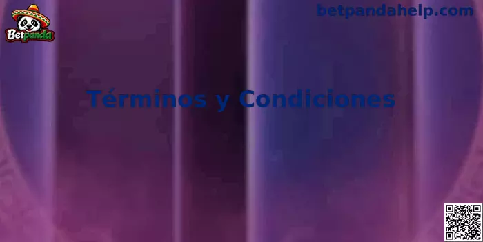Guía informativa de términos y condiciones de Betpanda para usuarios en México